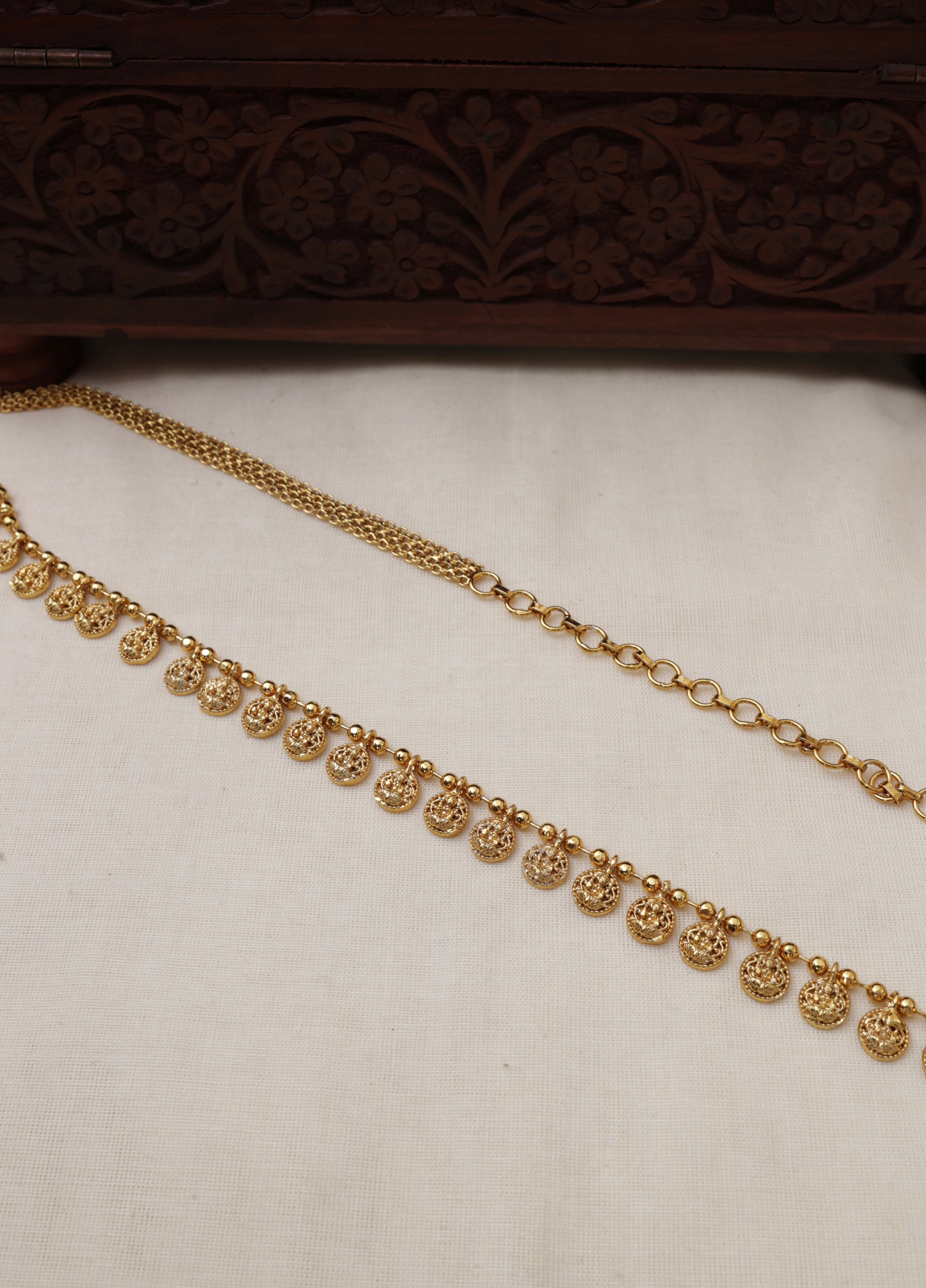Coin Hipbelt-006